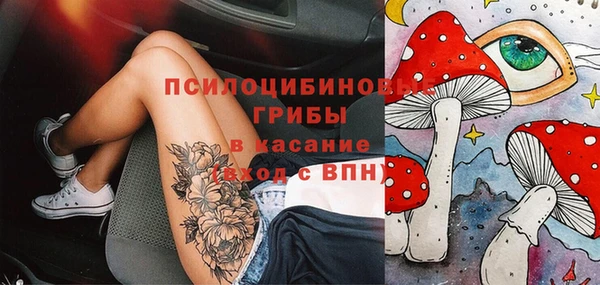 первитин Алексин