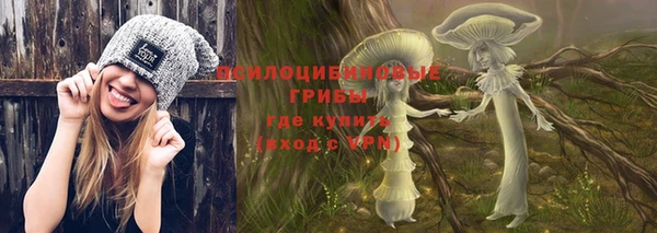 гашик Алексеевка