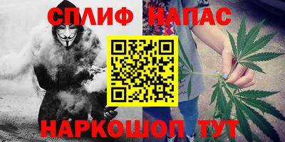 jwh Новозыбков