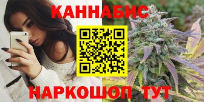 гашик Новодвинск