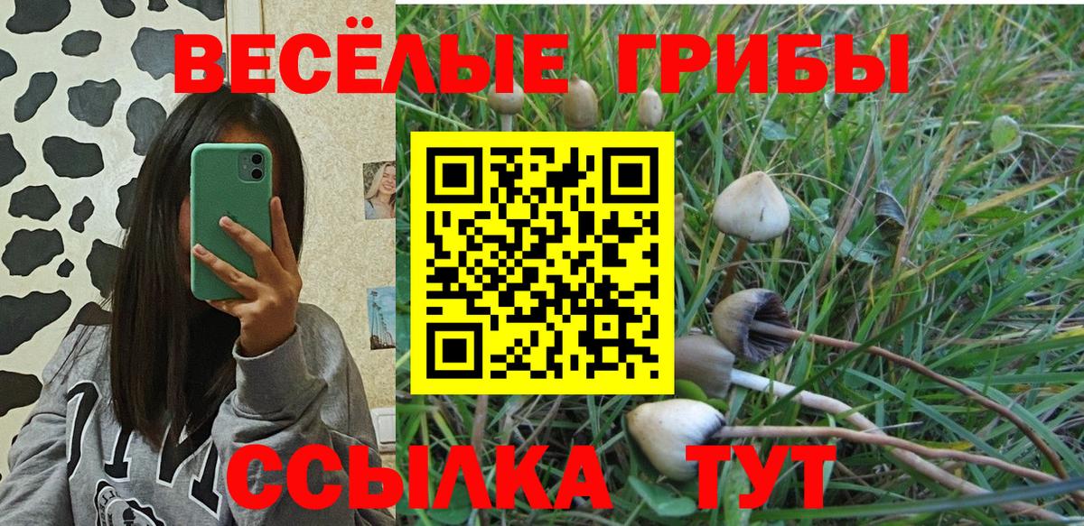 Псилоцибиновые грибы MAGIC MUSHROOMS Старый Оскол
